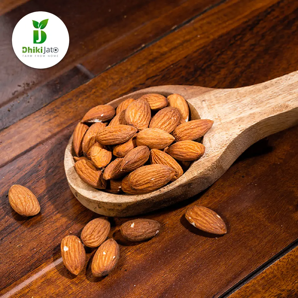 Picture of Almonds (500 GM)