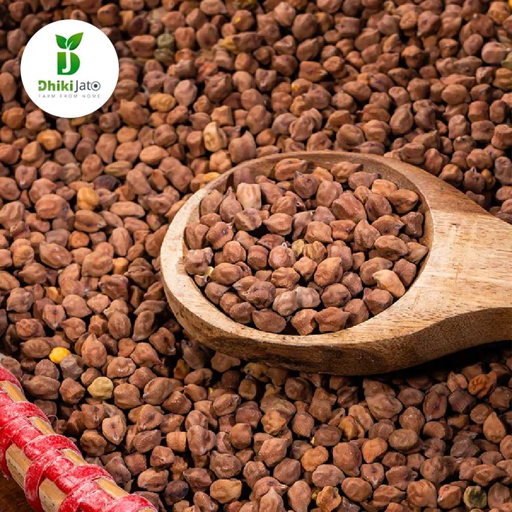 Picture of Chana